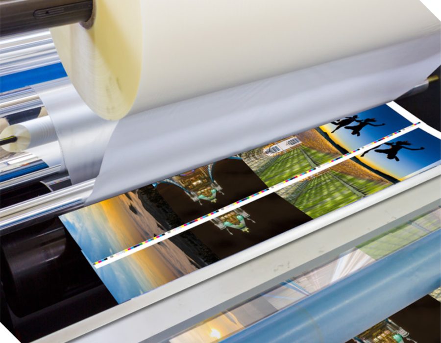 Vinyl-Printing-&-Lamination-4